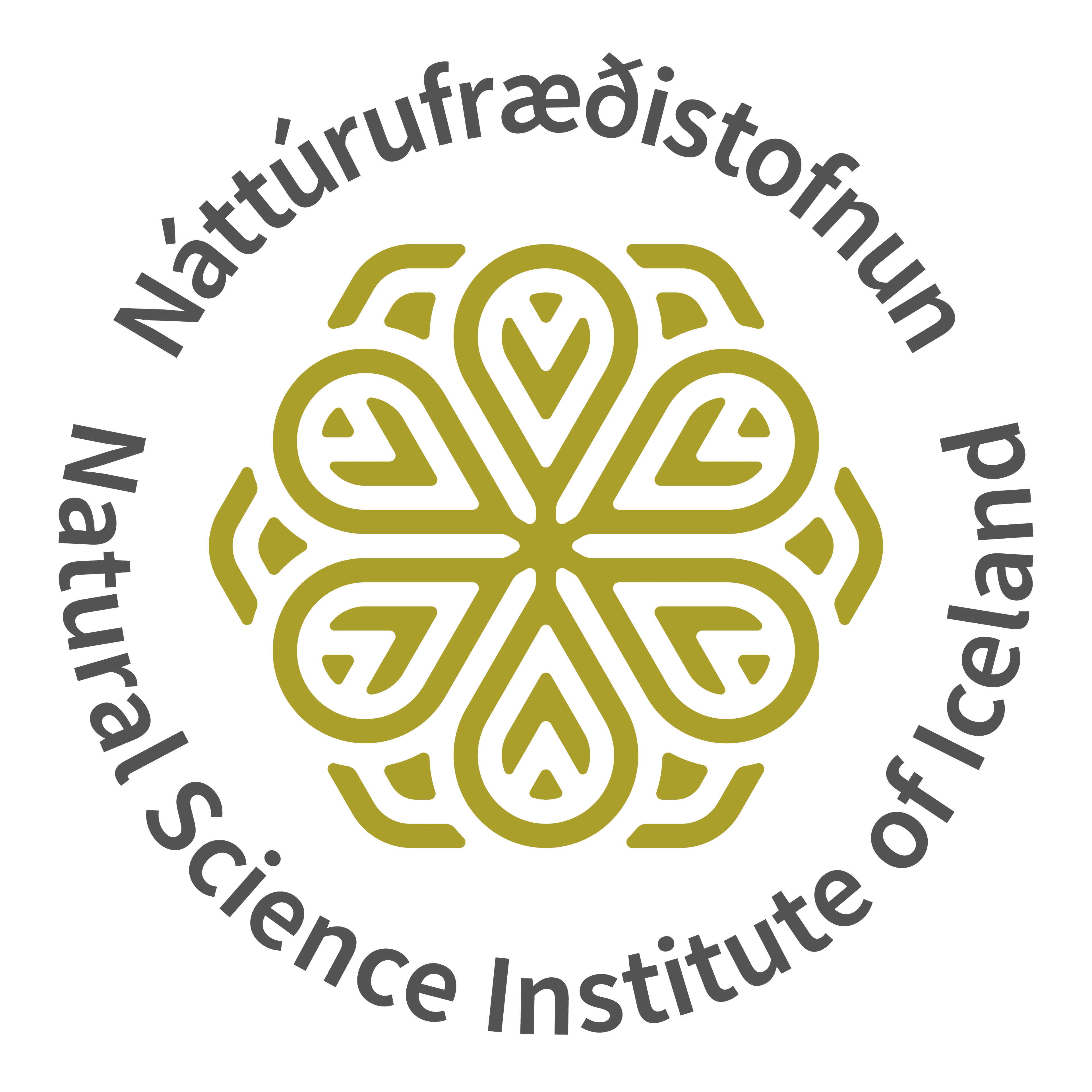Natural Science Institute of Iceland logo